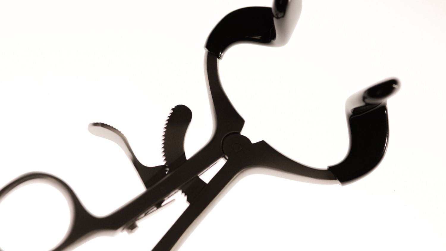 Australian Fertility Specialists Answer Your Most Frequently Asked Questions About IVF 
