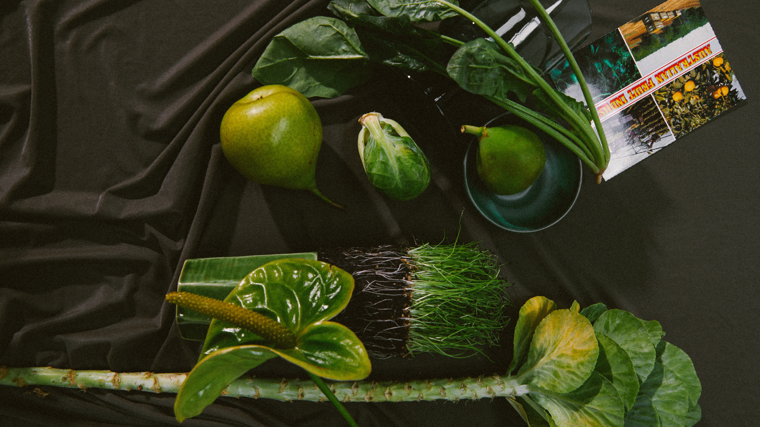 Green leafy vegetables full of folate