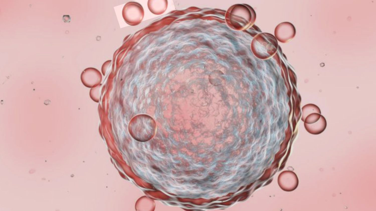 Guide to ovulation induction OI, what it is, who it is for and what to expect