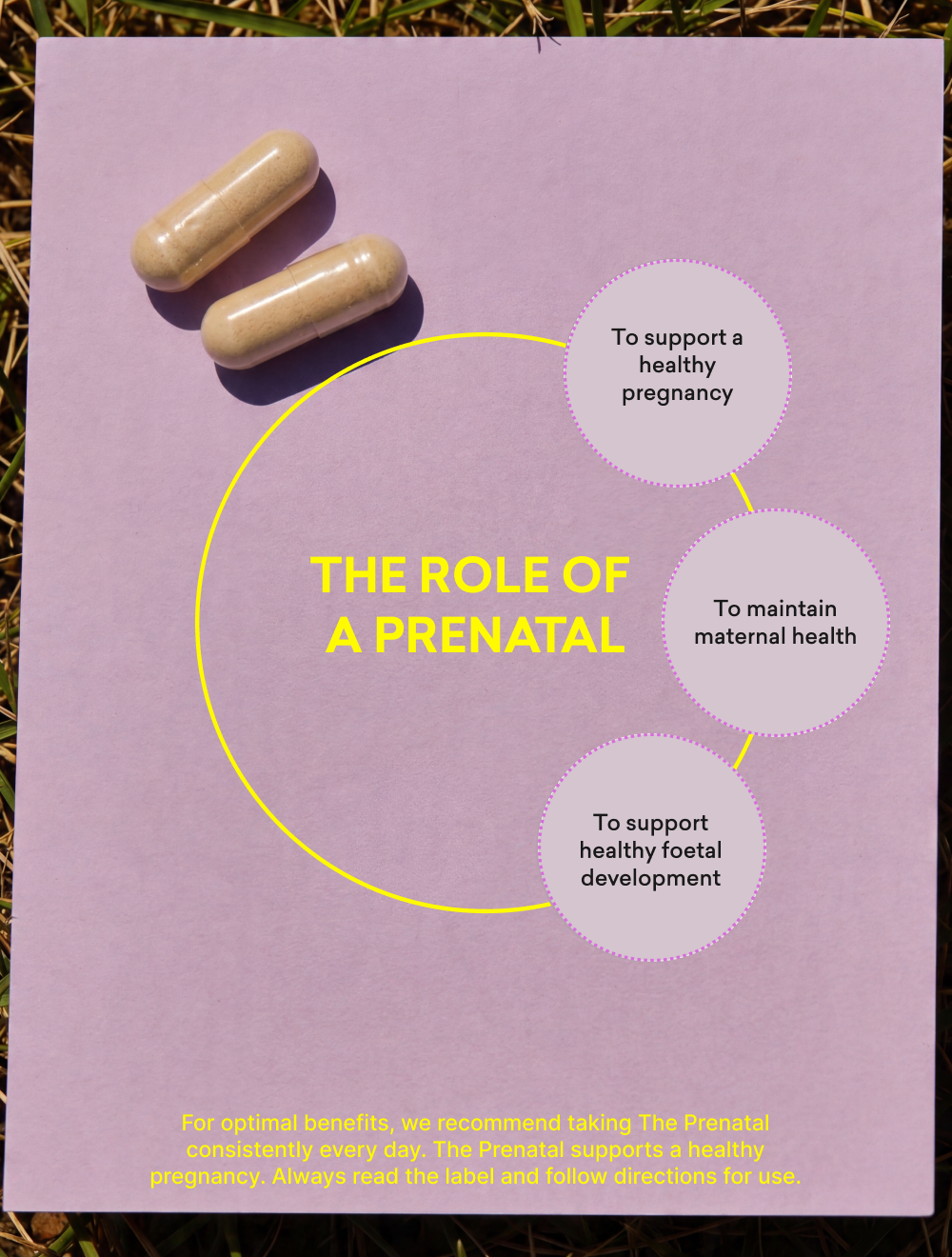The Prenatal by moode